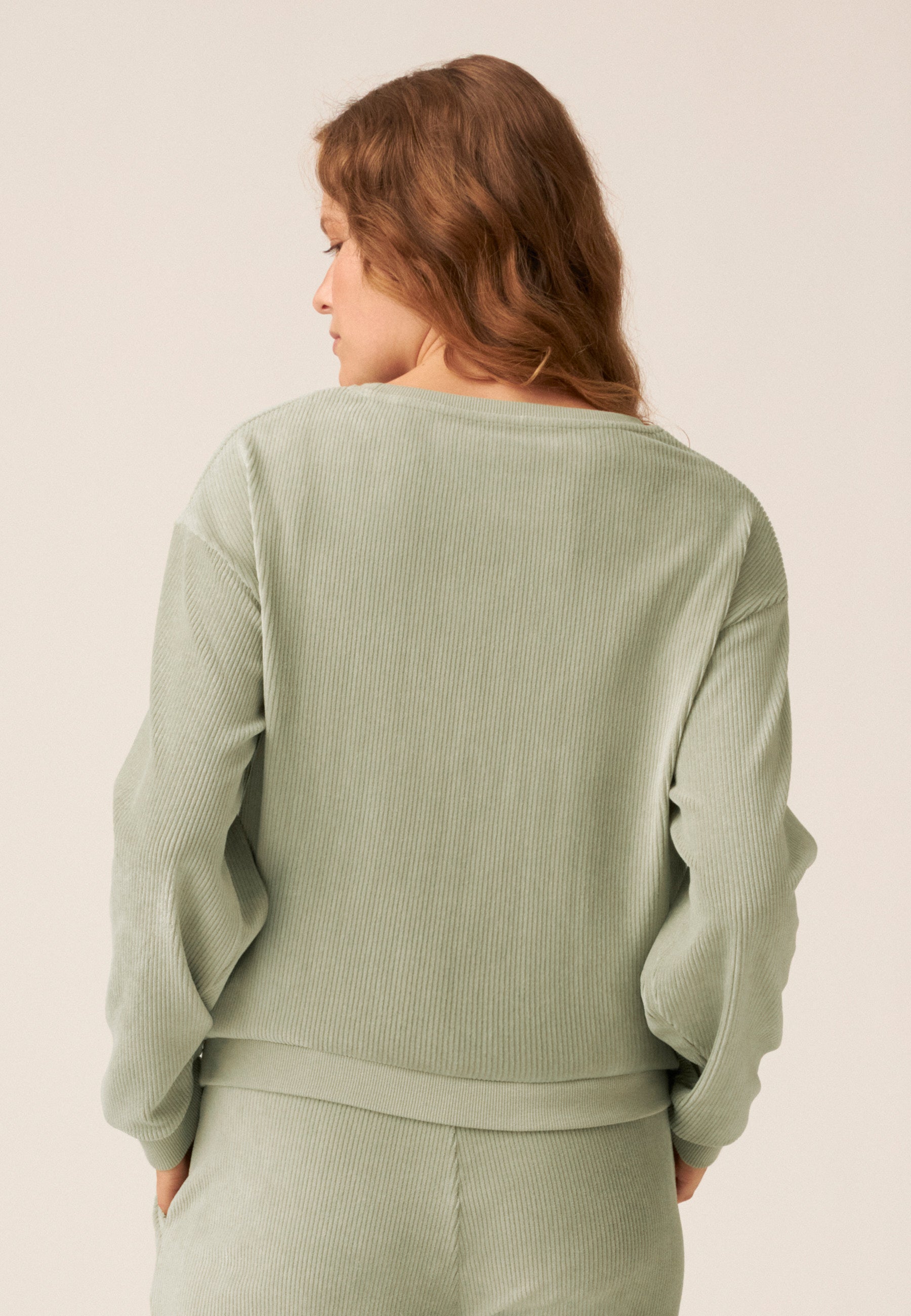 Velor Sweater Pullover - Pale Greenshield