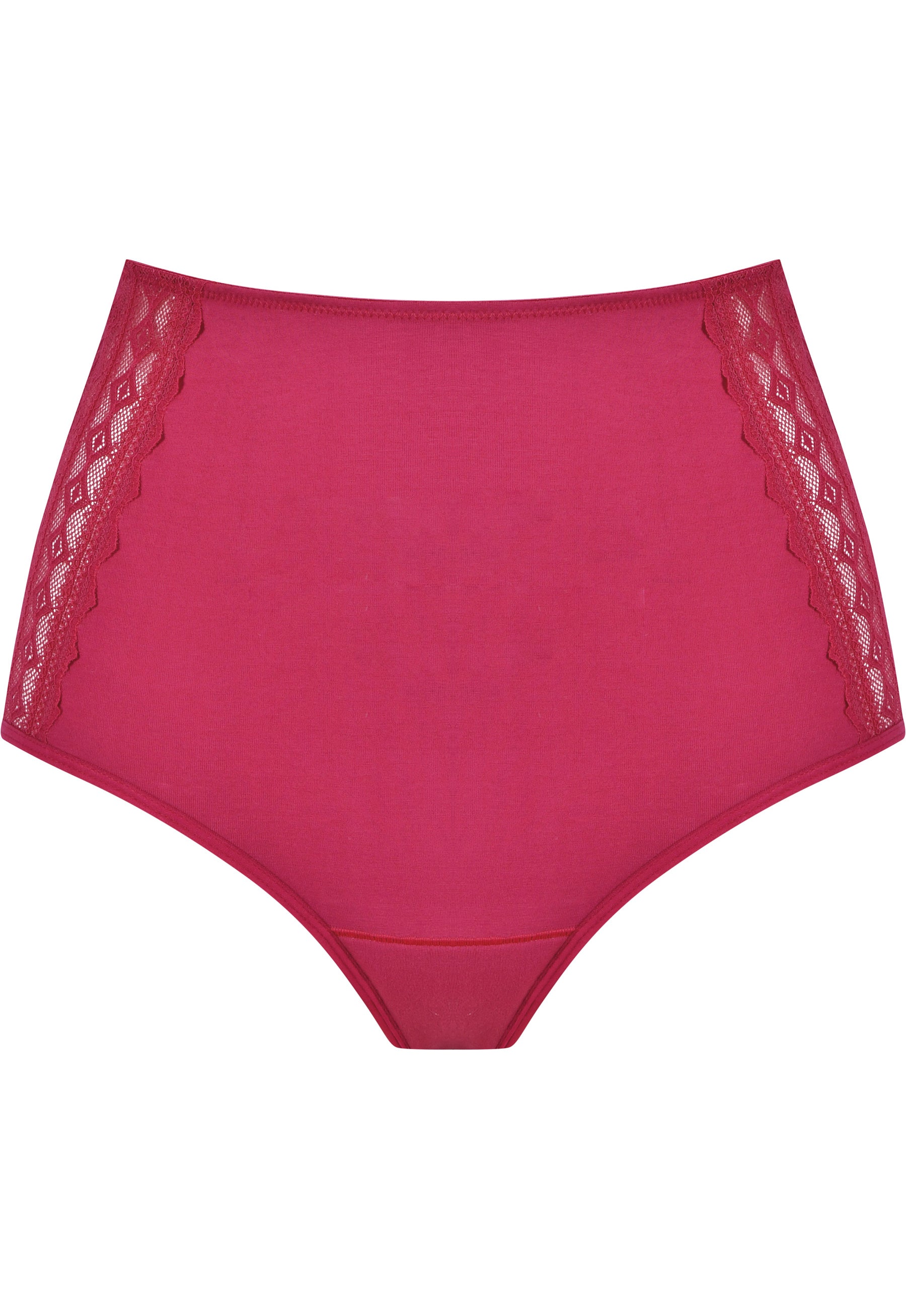 Period High Waist Briefs - Cassis